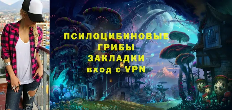 Псилоцибиновые грибы Cubensis  Болгар 